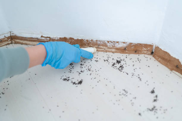 Best Pest Exclusion Services  in Flemington, PA